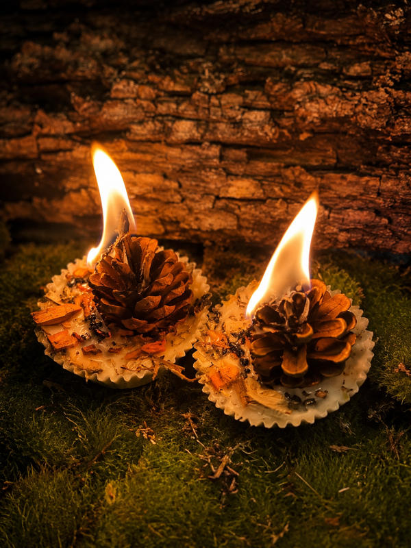 Fire Igniter
