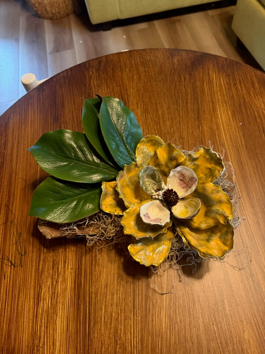 Magnolia oyster shells