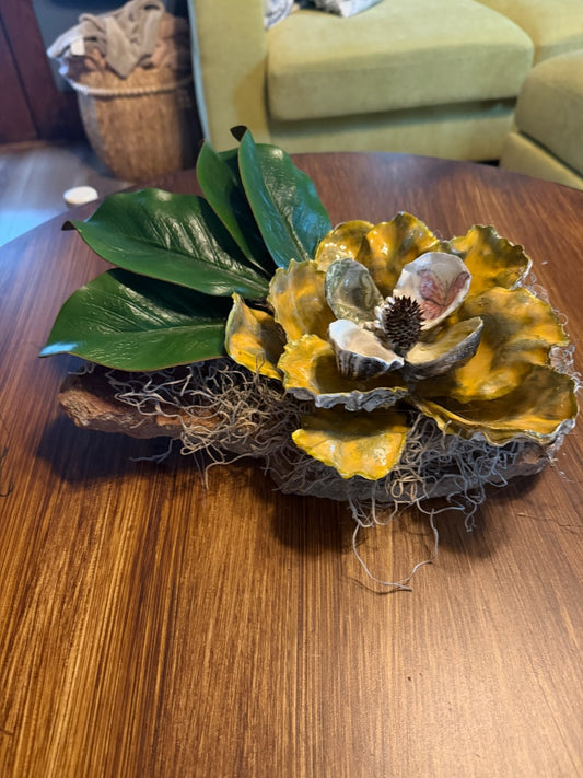Magnolia oyster shells